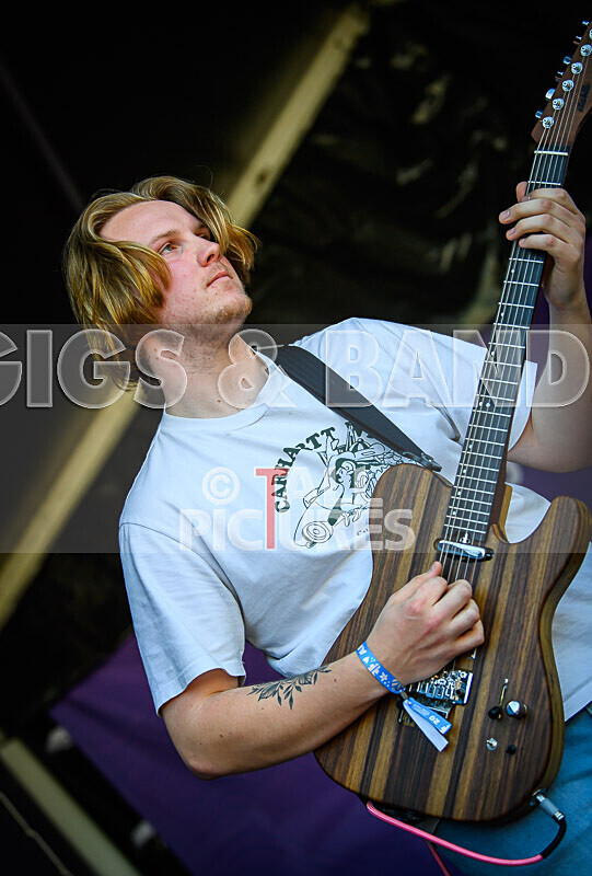 Bloomfield-53 - BLOOMFIELD