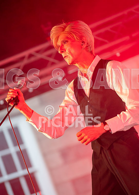 The Bowie Experience-18 - THE BOWIE EXPERIENCE