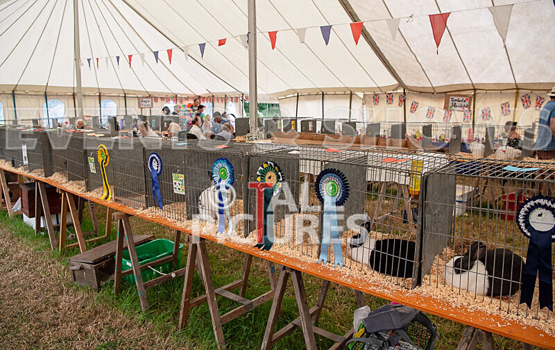 Guernsey Agricultural Show 2021-142 - GUERNSEY AGRICULTURAL SHOW 2021