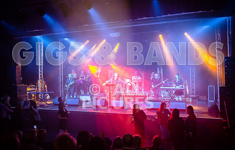 Harry Dean Junior and the New Breed-2 - HARRY DEAN JUNIOR AND THE NEW BREED