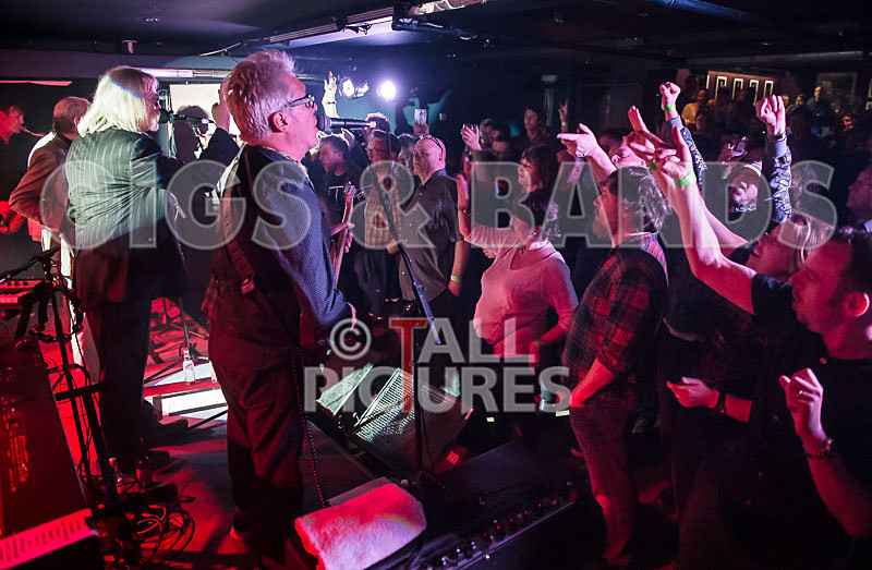 The Blockheads-87 - THE BLOCKHEADS