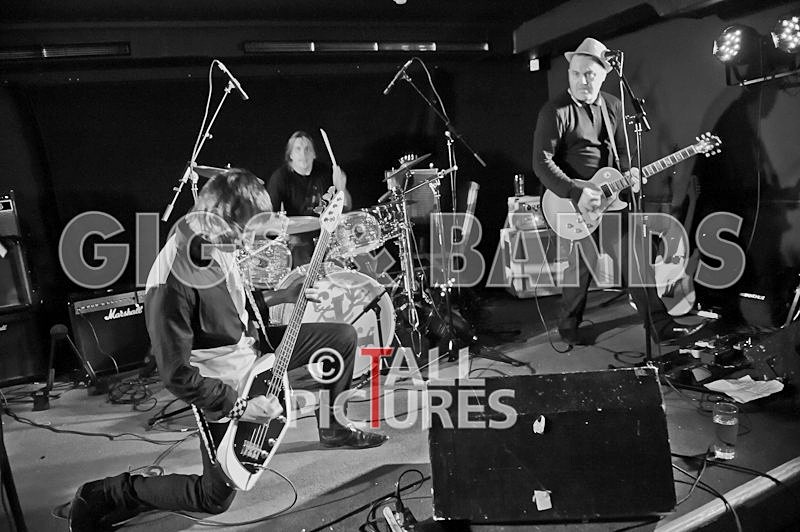 The Risk-24 - THE RISK