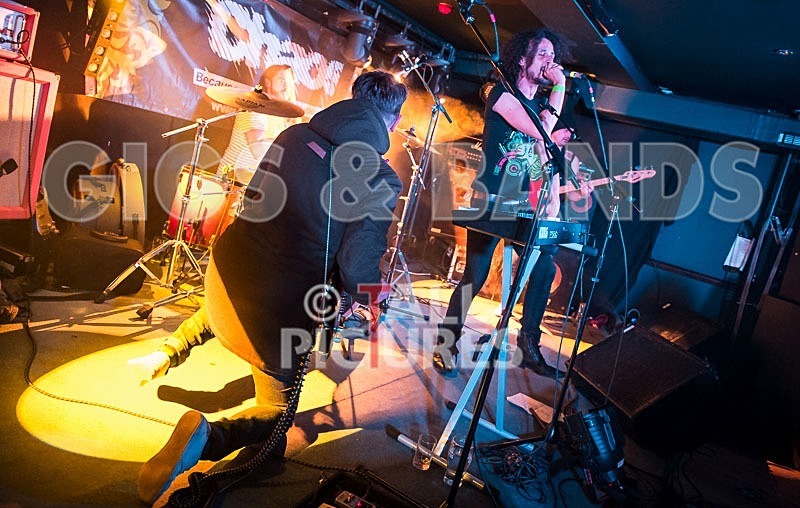 Harlequin Knights-36 - HARLEQUIN KNIGHTS