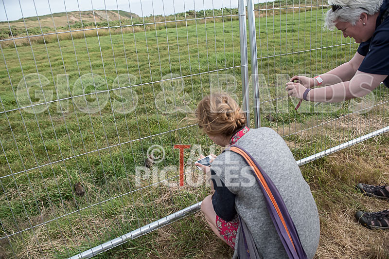 Chaos_2015_Atmosphere-40 - CHAOS 2015...CHILLED MOMENTS