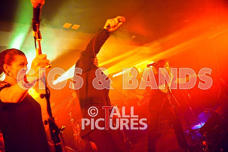 King Rat and the Soul Cats-84 - KING RAT & THE SOUL CATS