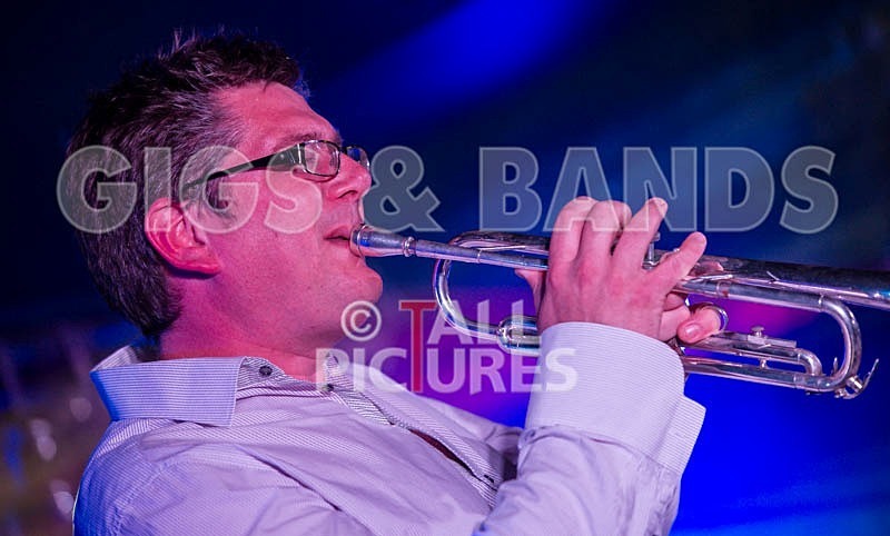 Ray and the Guns-11 - RAY AND THE GUNS