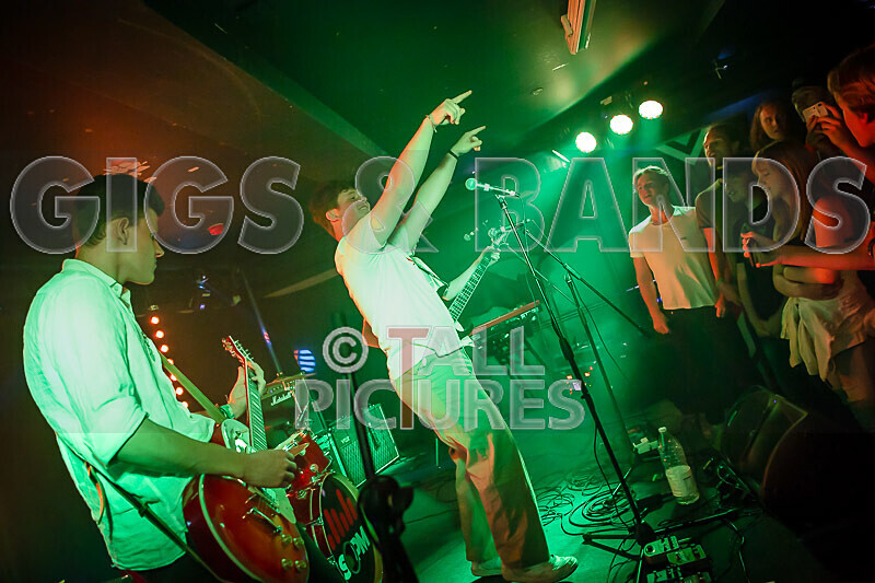 Black Dog-18 - BLACK DOG