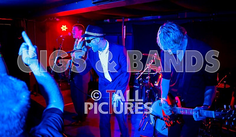 Skore-20 - THE SKORE