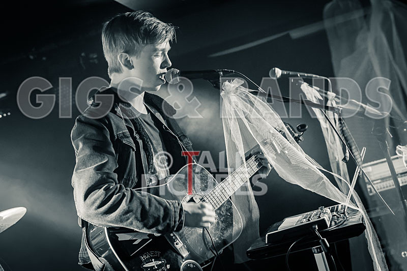 Zak Trimmer-7 - ZAK TRIMMER