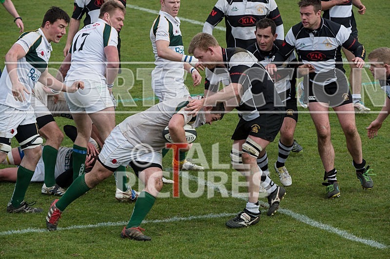 Rugby_Guernsey v Sutton  Epsom-29 - GUERNSEY v SUTTON & EPSOM RFC