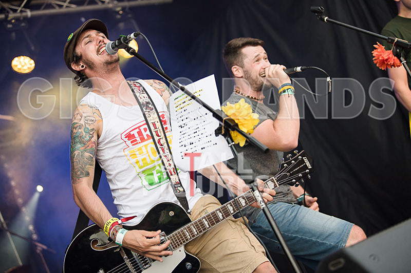 Vale Earth Fair 2017_PRESS EDIT-2 - VALE EARTH FAIR 2017_THE PRESS EDIT