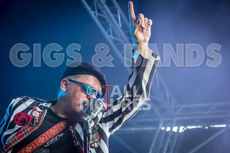 The Smooth Hounds-50 - THE SMOOTH HOUNDS