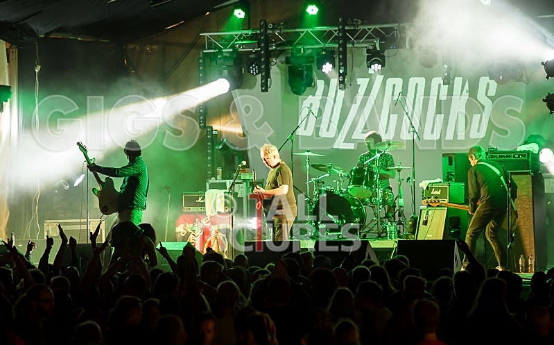 The Buzzcocks-4 - BUZZCOCKS