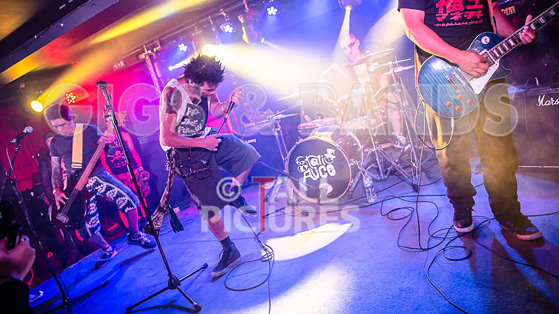 Morllyheads-18 - MORLLYHEADS