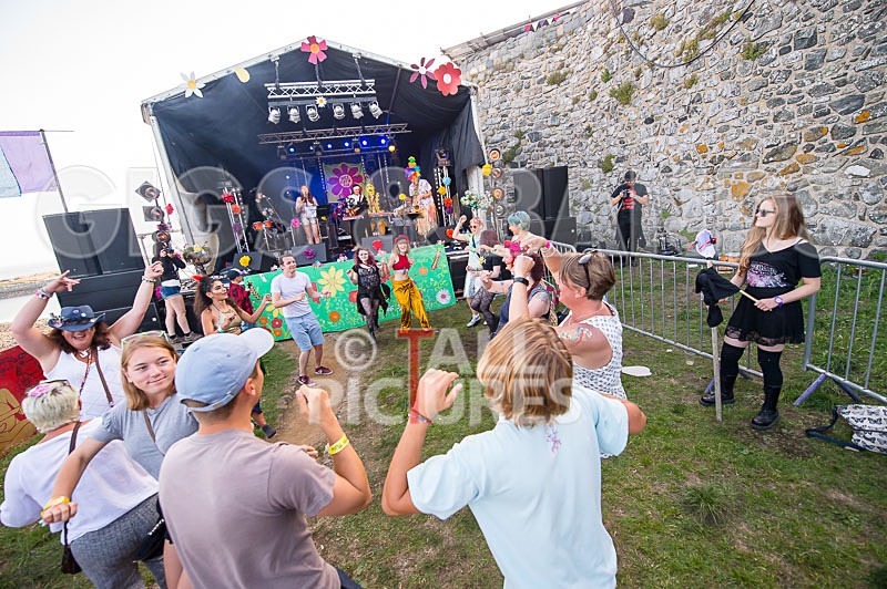 Vale Earth Fair 2017_SCENE-25 - VALE EARTH FAIR 2017_THE SCENE