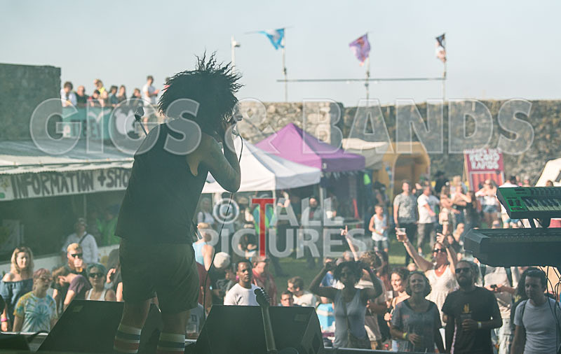 Tree House Fire-7 - TREE HOUSE FIRE