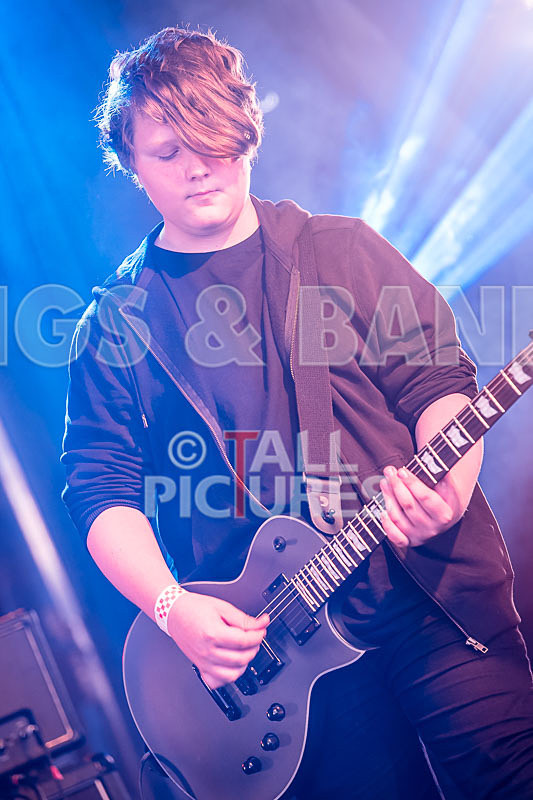 The Violet Diversion-11 - THE VIOLET DIVERSION