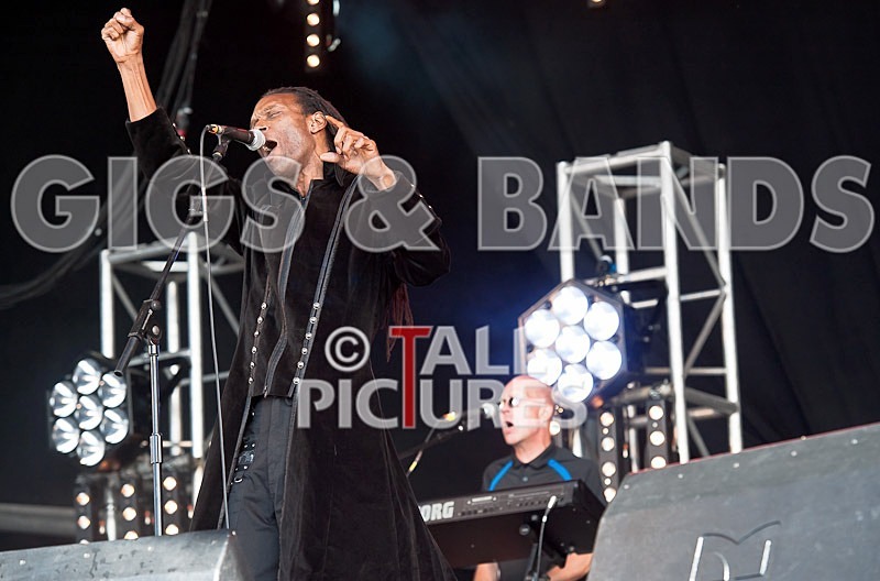 The Beat-38 - THE BEAT