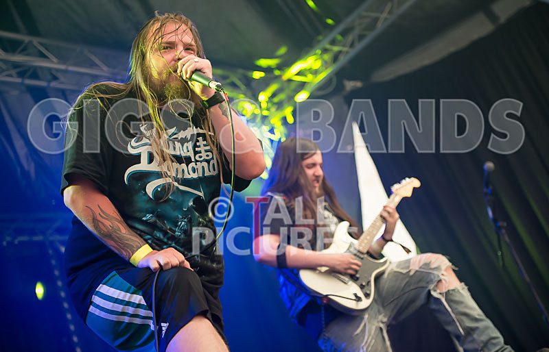 Stone Em All-233 - STONE EM ALL