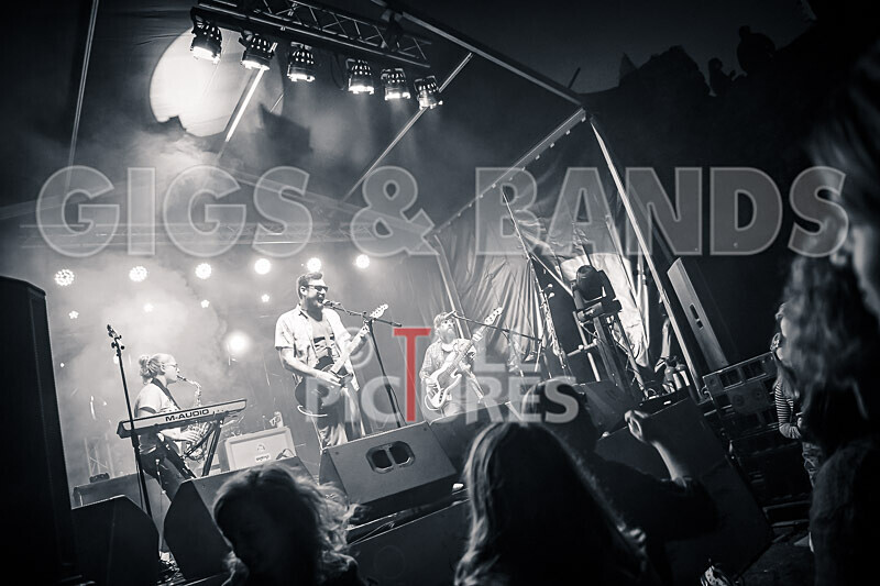 Honest Crooks-233 - HONEST CROOKS