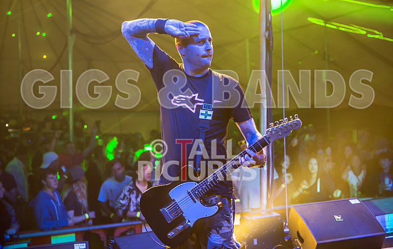 Spunge-115 - [spunge]