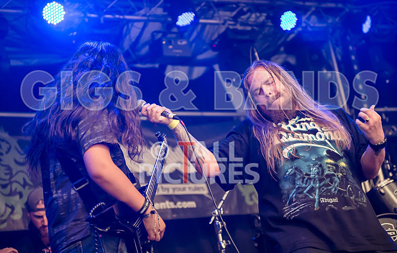 Stone Em All-220 - STONE EM ALL