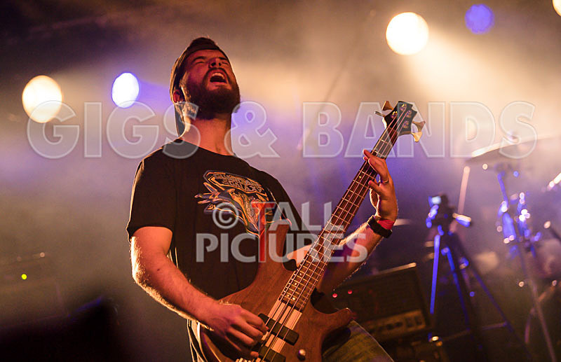 Demise of Sanity-136 - DEMISE OF SANITY