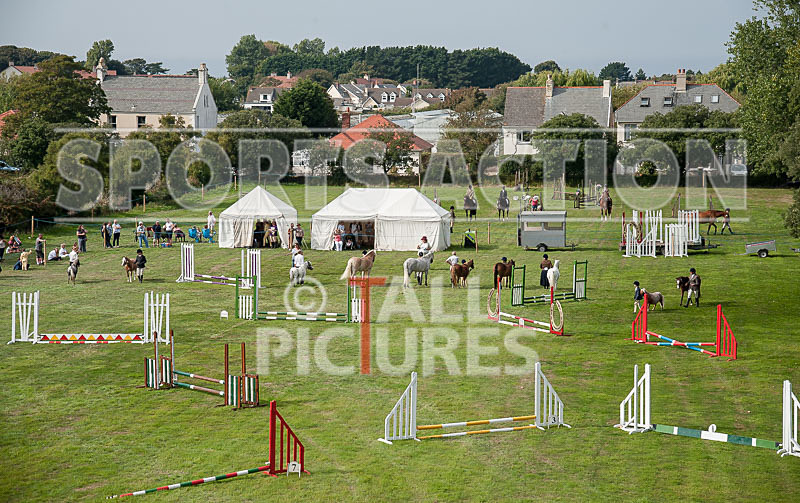 Oatlands_Show Jumping-4 - SHOWJUMPING AT OATLANDS 2014