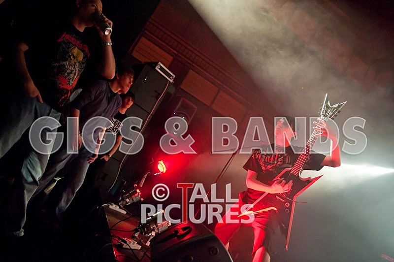 Brutus Stonefist-64 - BRUTUS STONEFIST at RoA-3