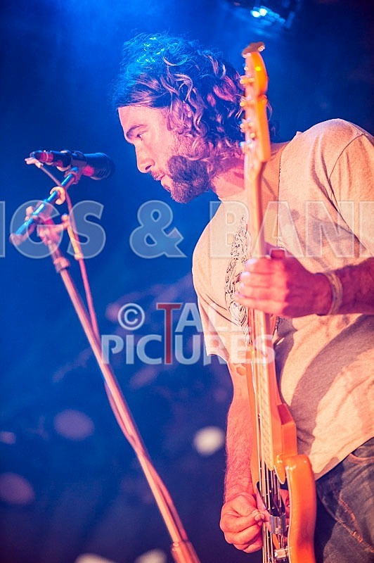 The Morves-18 - THE MORVES