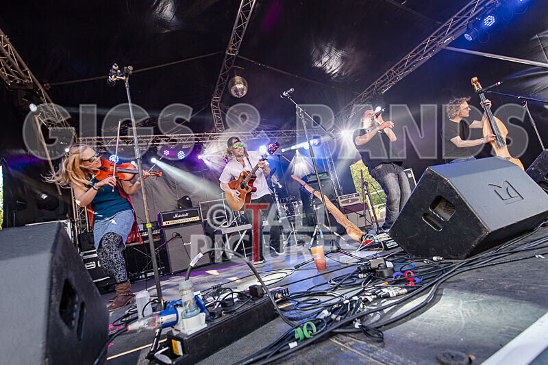 Buffalo Huddleston-707 - BUFFALO HUDDLESTON