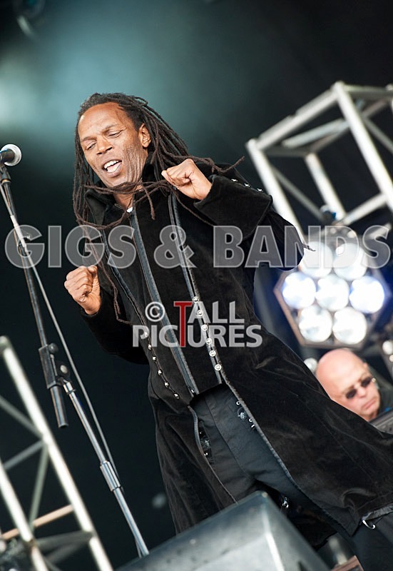 The Beat-37 - THE BEAT