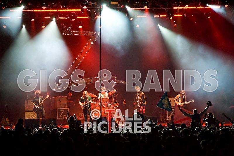 Zutons-4 - THE ZUTONS