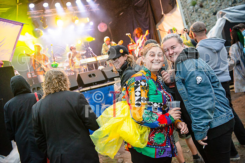 Vale Earth Fair 2018_SCENE-10 - VALE EARTH FAIR 2018_THE SCENE