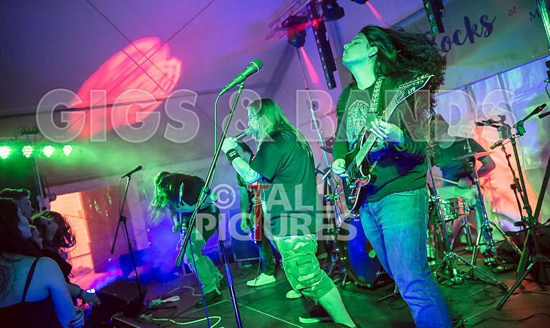 Stone Em All-383 - STONE EM ALL