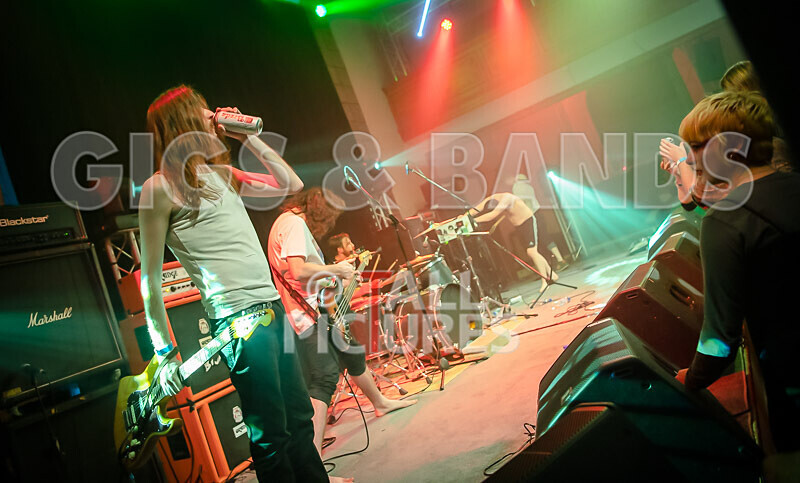 Pigsx7-112 - PIGS PIGS PIGS PIGS PIGS PIGS PIGS