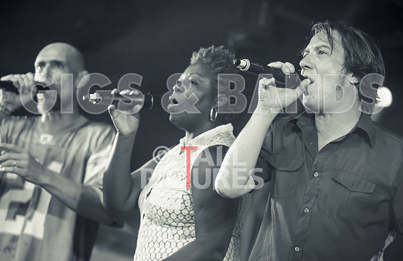 The Dynamics-28 - THE DYNAMICS