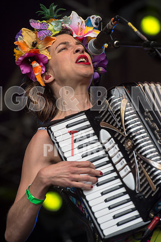 Molotov Jukebox-49 - MOLOTOV JUKEBOX