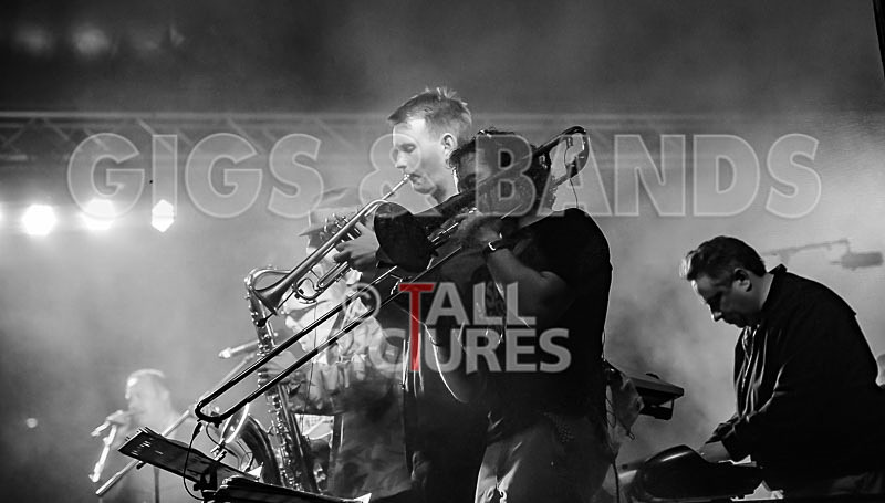 Sons of the Desert-302 - SONS OF THE DESERT