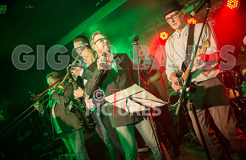 Alfie Bartons 25th Anniversary Gig-135 - ALFIE BARTON'S 25th ANNIVERSARY SPECIAL