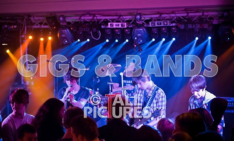 Feedback-81 - FEEDBACK at RoA-8