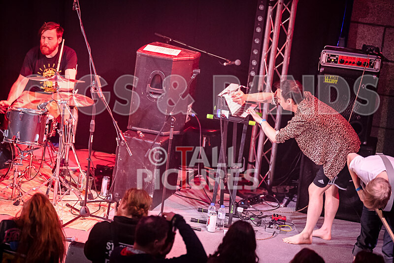 Pigsx7-10 - PIGS PIGS PIGS PIGS PIGS PIGS PIGS