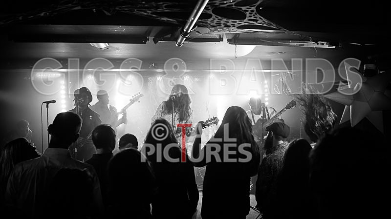 The Recks-721 - THE RECKS