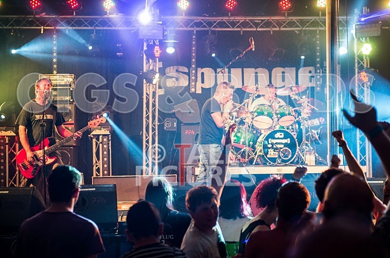 Chaos 2013_Spunge-6 - [spunge]