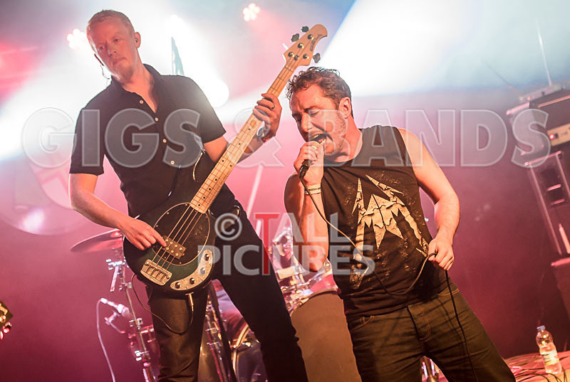 FlashMob-179 - FLASHMOB