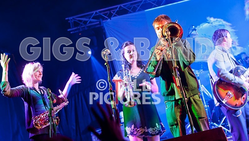 Royal Gala-5 - ROYAL GALA