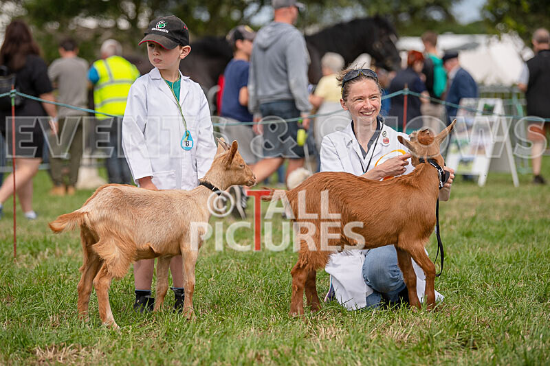 Guernsey Agricultural Show 2021-72 - GUERNSEY AGRICULTURAL SHOW 2021