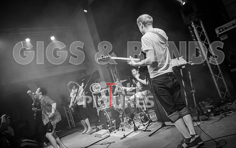 Pigsx7-114 - PIGS PIGS PIGS PIGS PIGS PIGS PIGS