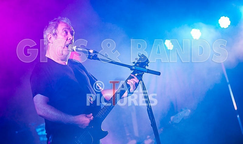 The Buzzcocks-22 - BUZZCOCKS