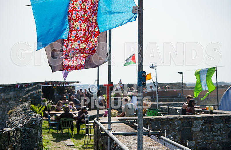 Vale Earth Fair 2017_SCENE-172 - VALE EARTH FAIR 2017_THE SCENE